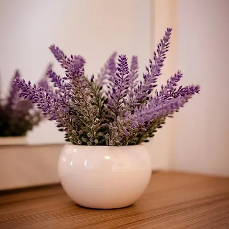 شقة Mir موستار