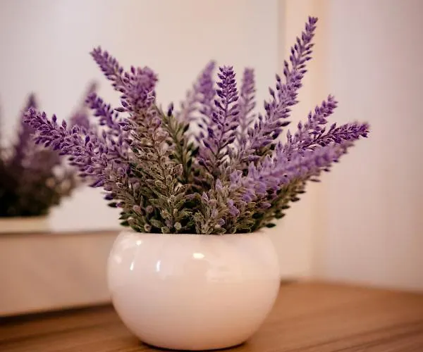 Apartamento Mir Mostar